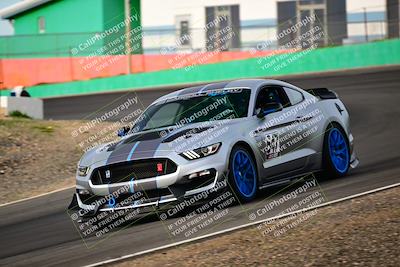 media/Feb-25-2024-Speed Ventures (Sun) [[b9a2a97a4d]]/Mustang Drivers Club/Session 1 (Turns 4 and 5)/